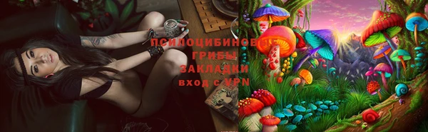 таблы Михайловск