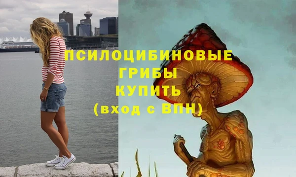дживик Михайловка