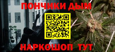 spice Кингисепп