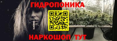 стаф Кимры