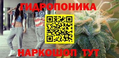 стаф Кимры