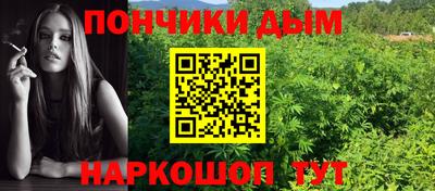 стаф Кимры