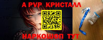 spice Кингисепп