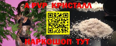 spice Кингисепп